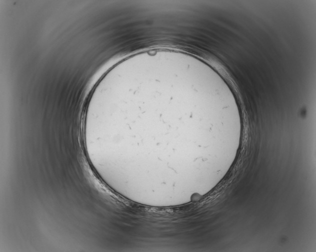 X0000115720955200912101425