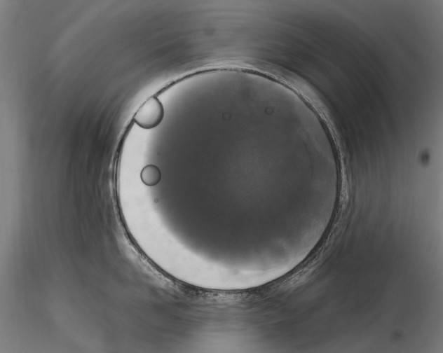 X0000115720958200912101425