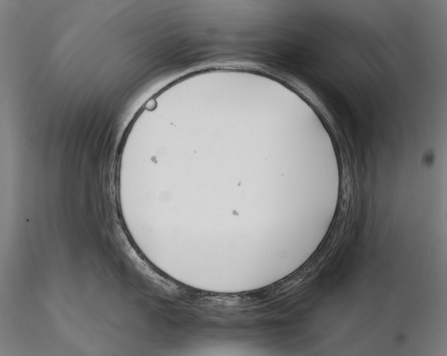 X0000115720959200912101425