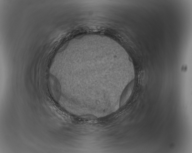 X0000115720961200912101425