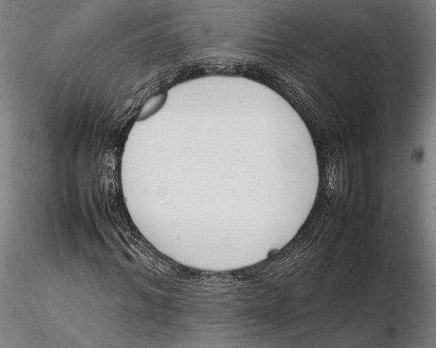 X0000115720964200912101425