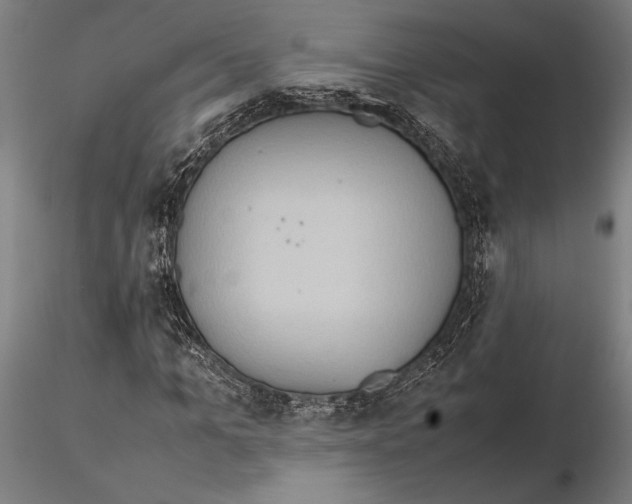 X0000115720965200912101425