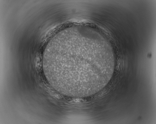 X0000115720966200912101425