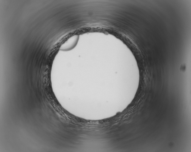 X0000115720968200912101424