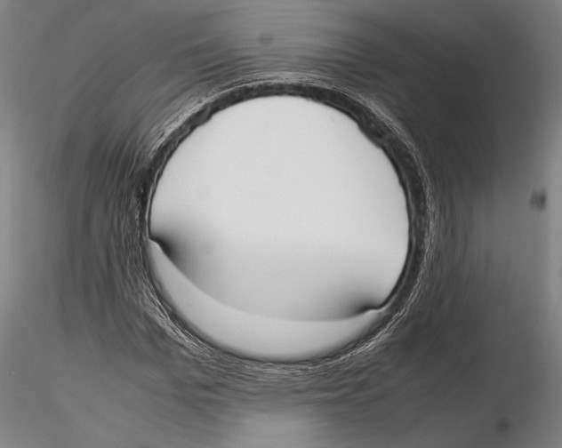 X0000115720969200912101424