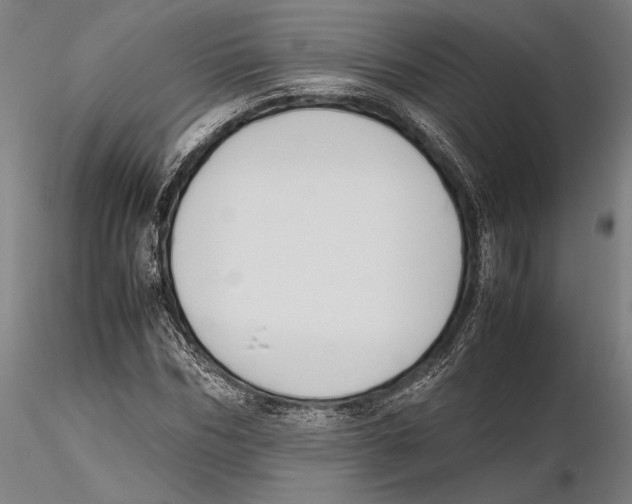 X0000115720970200912101424