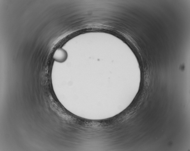 X0000115720971200912101424