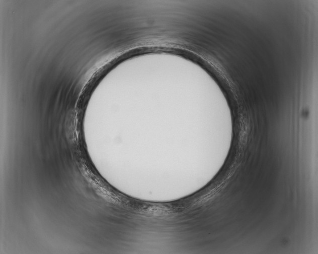 X0000115720974200912101424