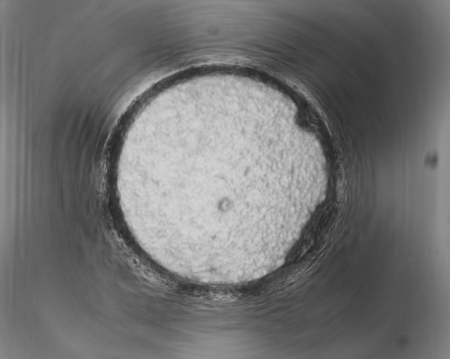 X0000115720975200912101424