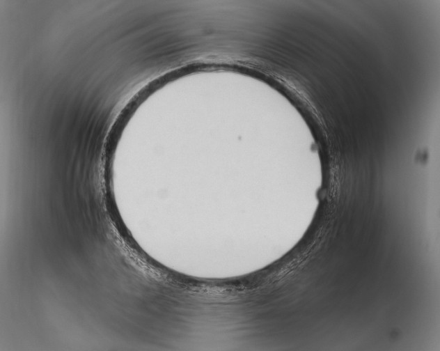 X0000115720976200912101424
