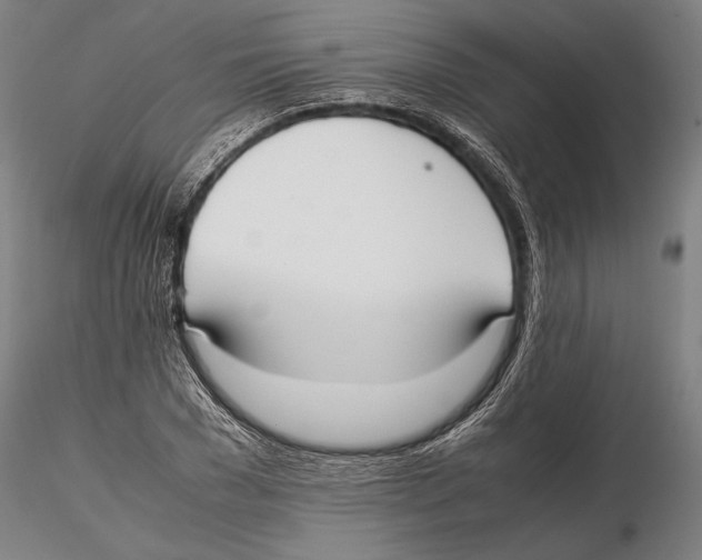 X0000115720977200912101424