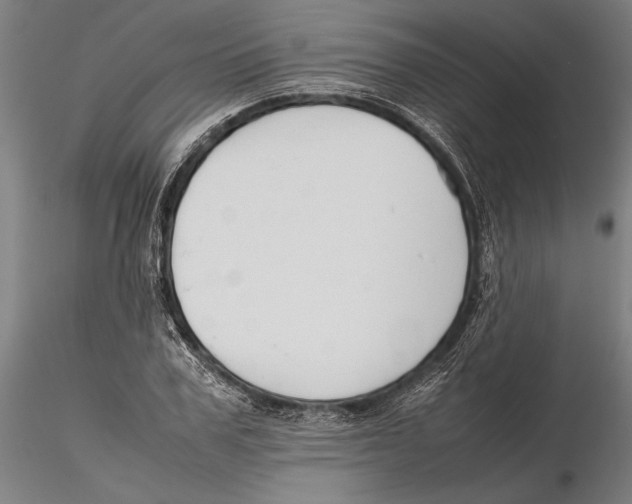 X0000115720979200912101424
