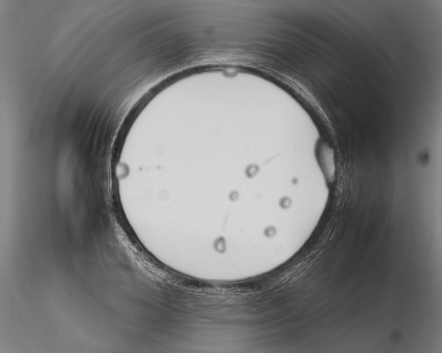 X0000115720980200912101424