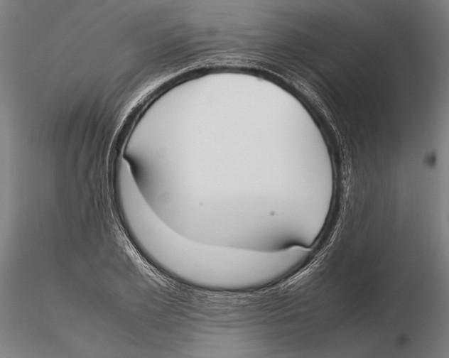 X0000115720981200912101424