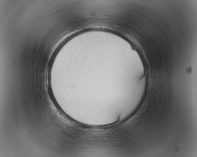 X0000115720984200912101424