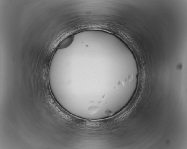 X0000115720985200912101424