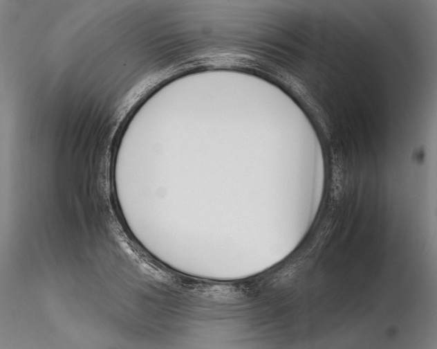 X0000115720986200912101424