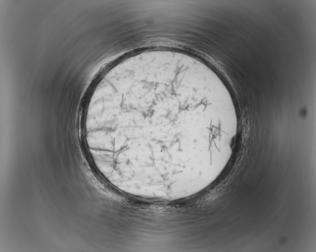 X0000115720987200912101424