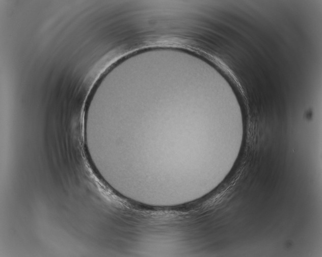 X0000115720988200912101424