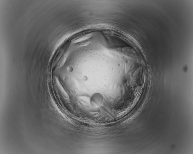 X0000115720989200912101424