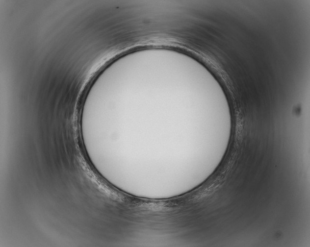 X0000115720990200912101424