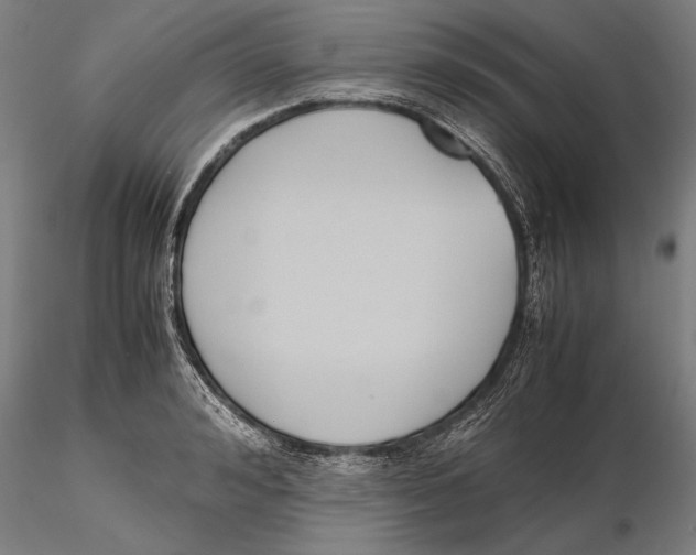 X0000115720992200912101424