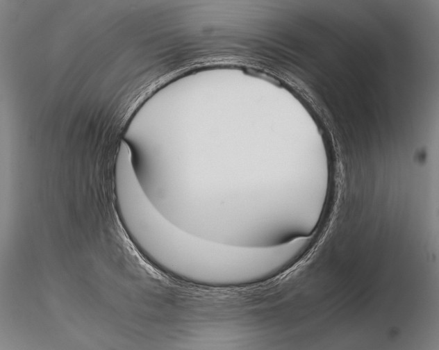 X0000115720993200912101424