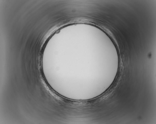 X0000115720997200912101424
