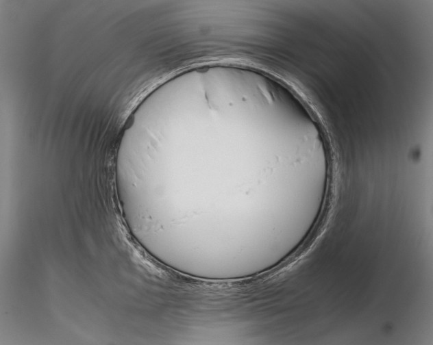 X0000115721001200912101424