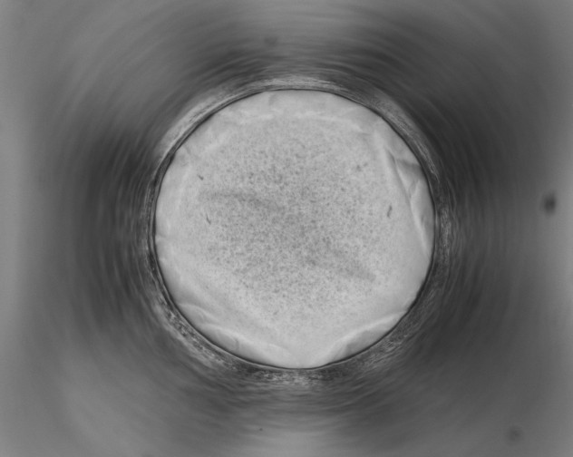 X0000115721002200912101424