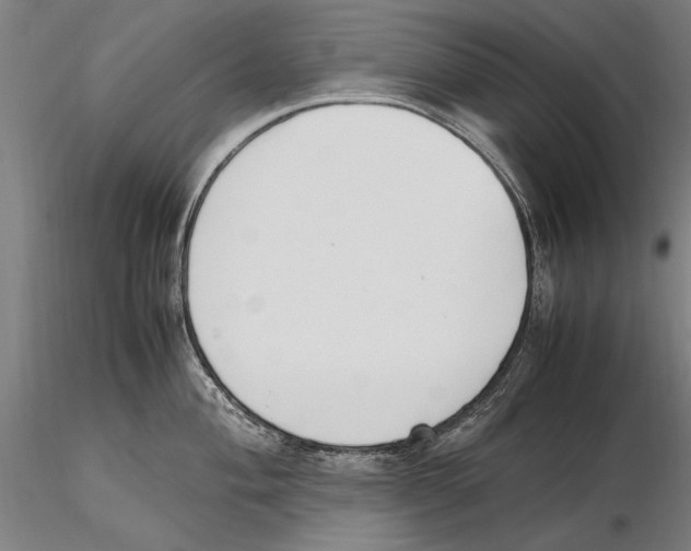 X0000115721004200912101424
