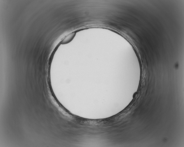 X0000115721005200912101424