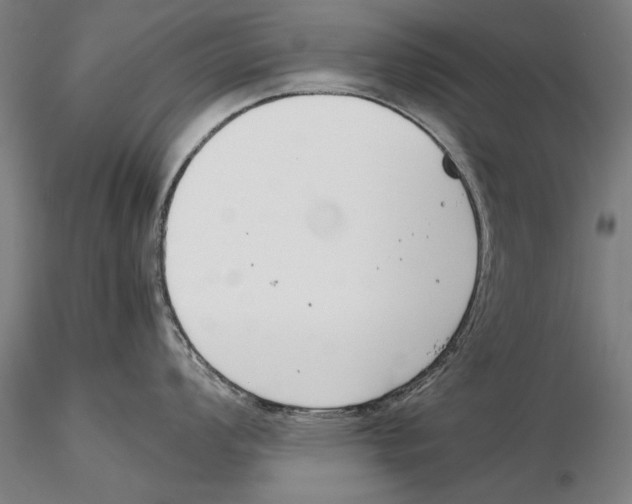 X0000115721008200912101424