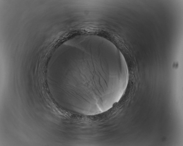 X0000115721009200912101423