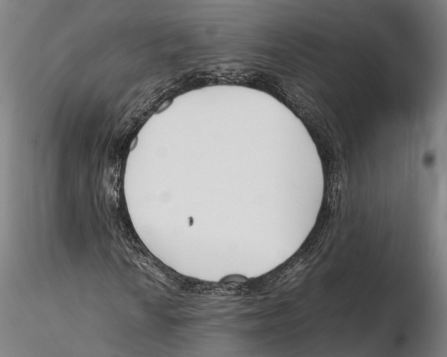 X0000115721010200912101423