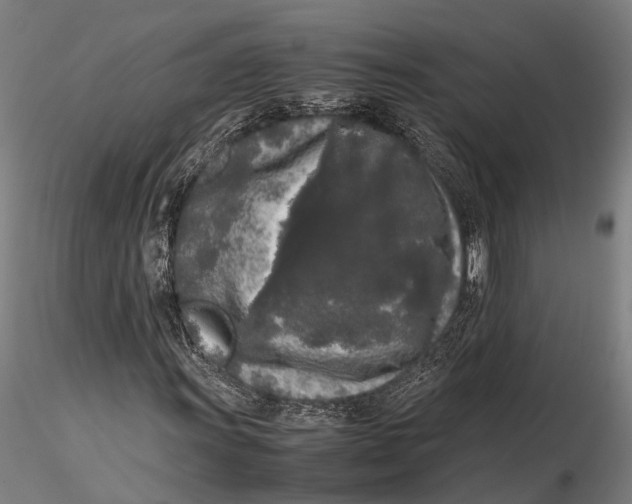X0000115721011200912101423