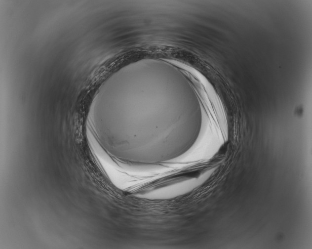 X0000115721013200912101423