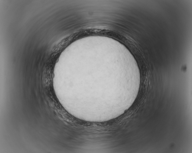 X0000115721014200912101423
