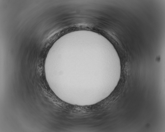 X0000115721015200912101423