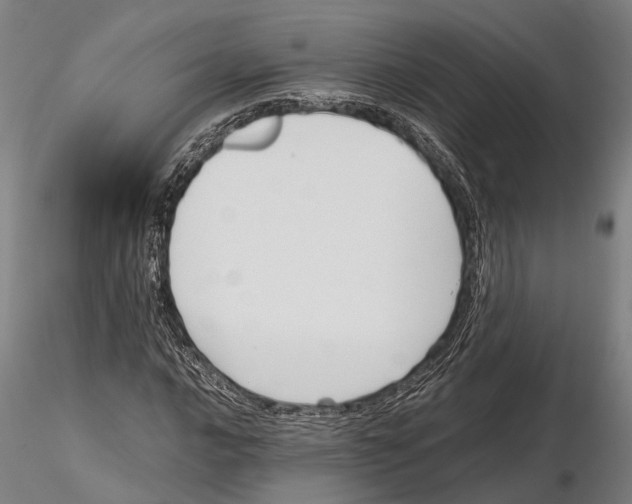X0000115721016200912101423