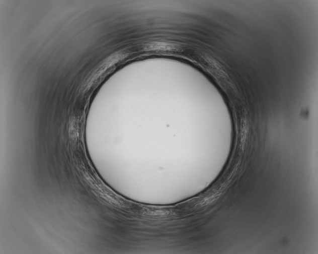 X0000115721017200912101423