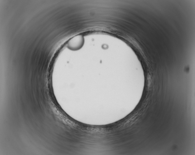 X0000115721020200912101423