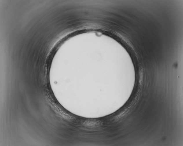 X0000115721021200912101423