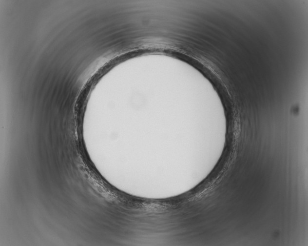 X0000115721022200912101423