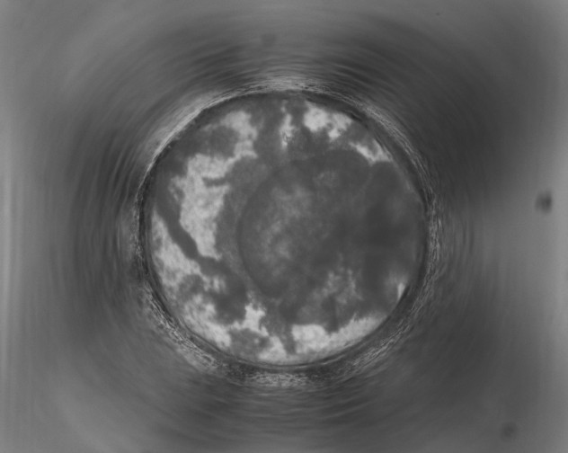 X0000115721023200912101423
