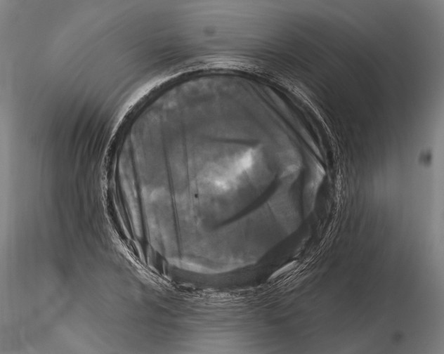 X0000115721024200912101423