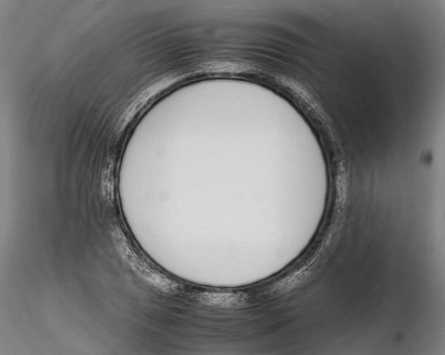 X0000115721025200912101423