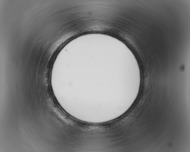 X0000115721026200912101423