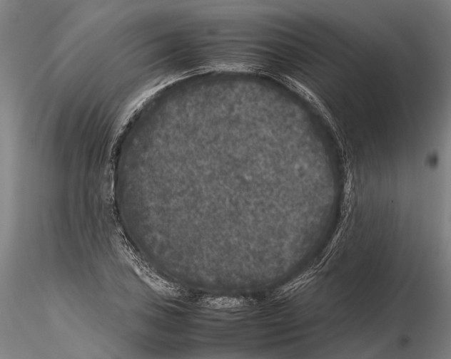 X0000115721027200912101423