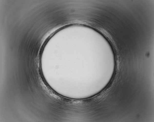 X0000115721028200912101423